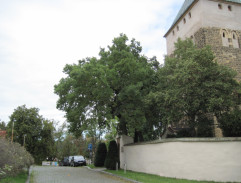 U kostela