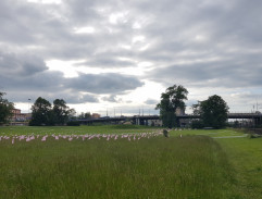 Stadion Josefa Kotase