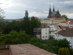 Alenka na zídce