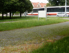 12. Loupež