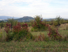 Solární panely na Zelené louce