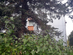 Milan Smrček v okně