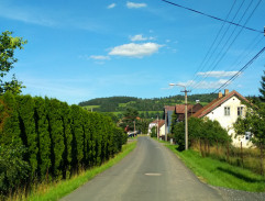 Ve vesnici