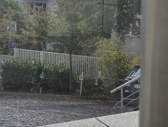 pred klinikou
