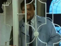 Ve vazební věznici