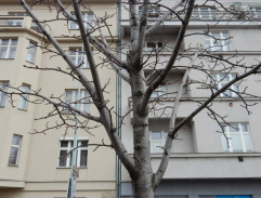 O rodičích a dětech