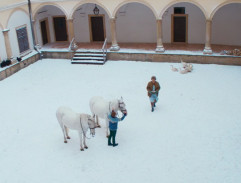 Poslední aristokratka