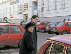 Svědek