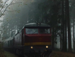 Průjezd vlaku lesem