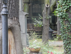 Miluška na hřbitově