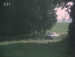 Příjezdová cesta k rybníku