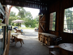 11. Všechny barvy léta