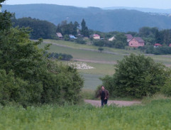 Kopeček nad Třešňovkou