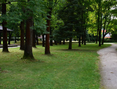 park v Martine