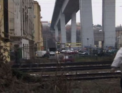 Bruslaři