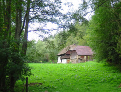 Šarlatán