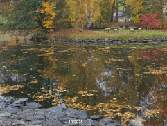 Princezna zakletá v čase