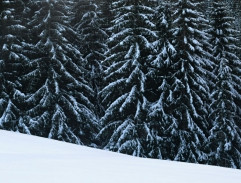 Neobyčejná třída