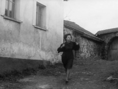 Cesta hlubokým lesem