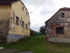 Cesta hlubokým lesem