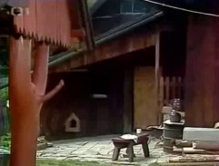 Na dvorku doktorovy chalupy