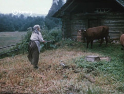 Pohádka o Malíčkovi