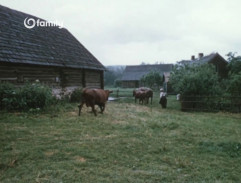 Pohádka o Malíčkovi