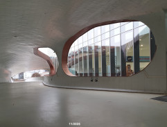 230. Světlo na konci tunelu