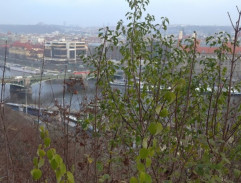 Pražské panorama II