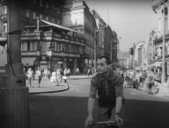 Kolik slov stačí lásce?