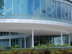 Kolik slov stačí lásce?