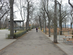 Cesta v parku