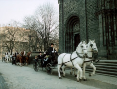 Kočár se svatebčany