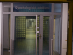 Gynekologické oddělení