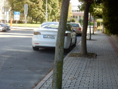 Viky s přítelem