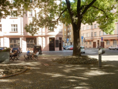 Falešný ženich
