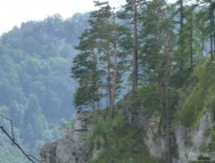 Postav dům, zasaď strom