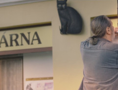 Béďa hledá Gumpa II