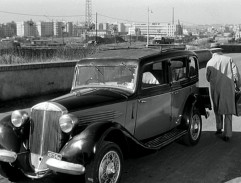 Škoda, žes taková potvora