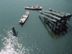 Zítra vstanu a opařím se čajem