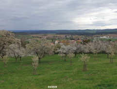 Vesnička