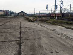 Ještě žiju s věšákem, plácačkou a čepicí