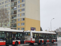 Martinovo tajemství