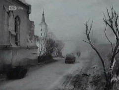 Tam za lesem