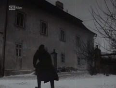Tam za lesem