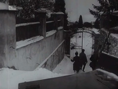Tam za lesem