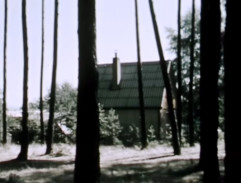 chata mezi stromy