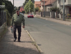 Stáří není pro sraby