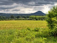 Jak se točí Rozmarýny
