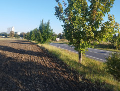 Cesta domů